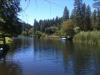Lake Madrone - Berry Creek CA
