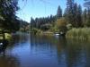 Lake Madrone - Lake Madrone