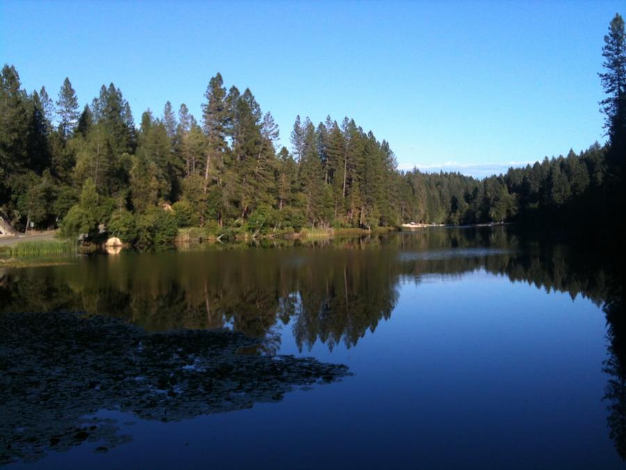 Lake Madrone - From the Dam looking back over the lake