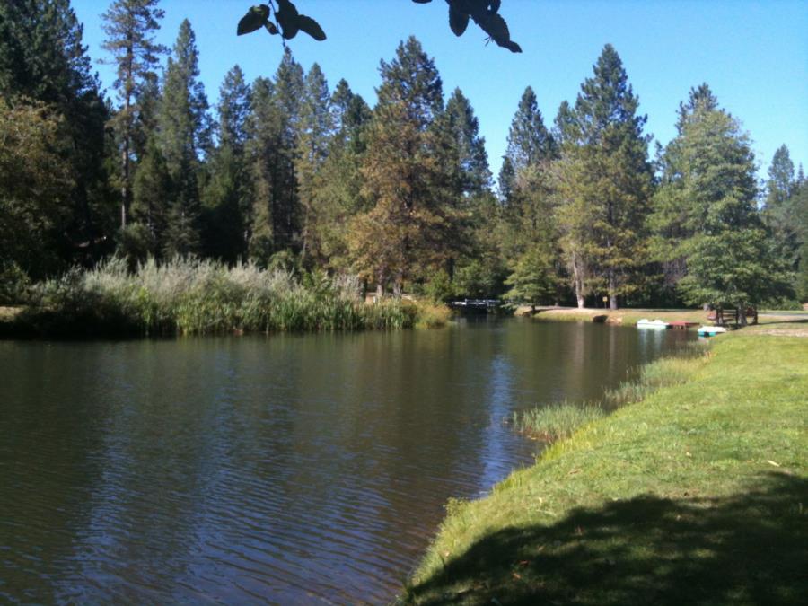 Lake Madrone - Photo uploaded by Smithsgold (image.jpg)