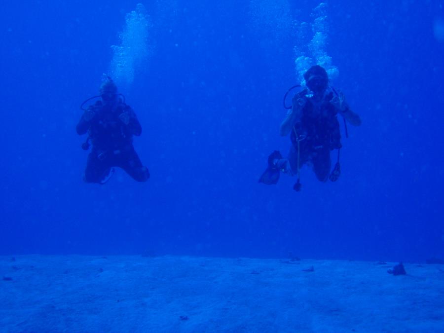 Coconut Point @ Flora Reef - Deep Dive with Bart