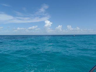 Don Foster’s Dive shop mini reef - Cayman Island View