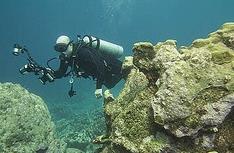 Barcadera Reef aka Barcedera - Barcadera Reef