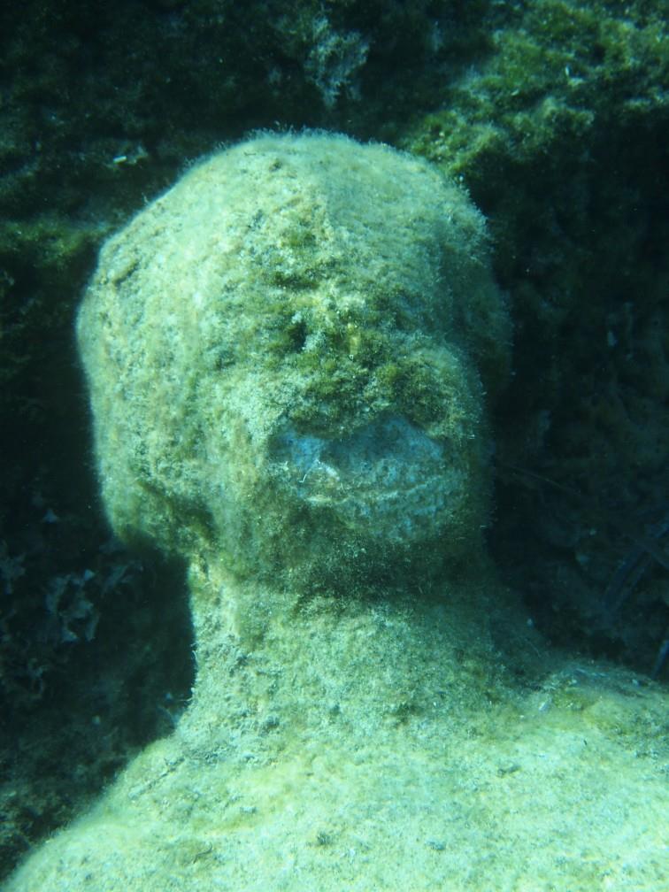 Sea Lions - Statue head