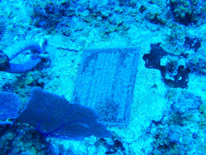 Princess Penny’s Wall - Plaque at the bottom of the Mooring Line