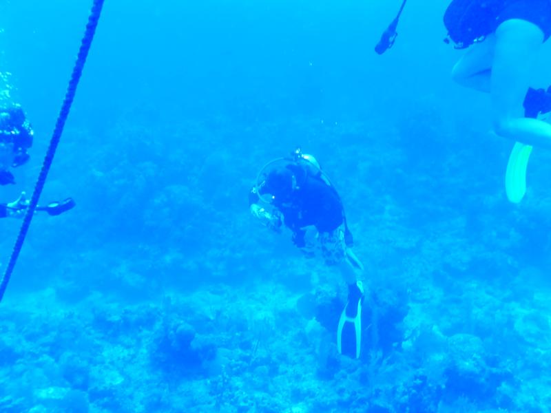 Princess Penny’s Wall - Coming down the Mooring Line