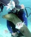 Stingray City - Feeding the Moray