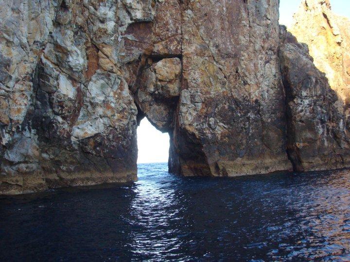 Poor Knights Islands - Poor Knights - New Zealand