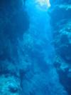 Trinity Caves - Cayman Islands