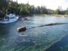 Above water view of Sweepstakes wreck in Big Tub Harbour. - Greg