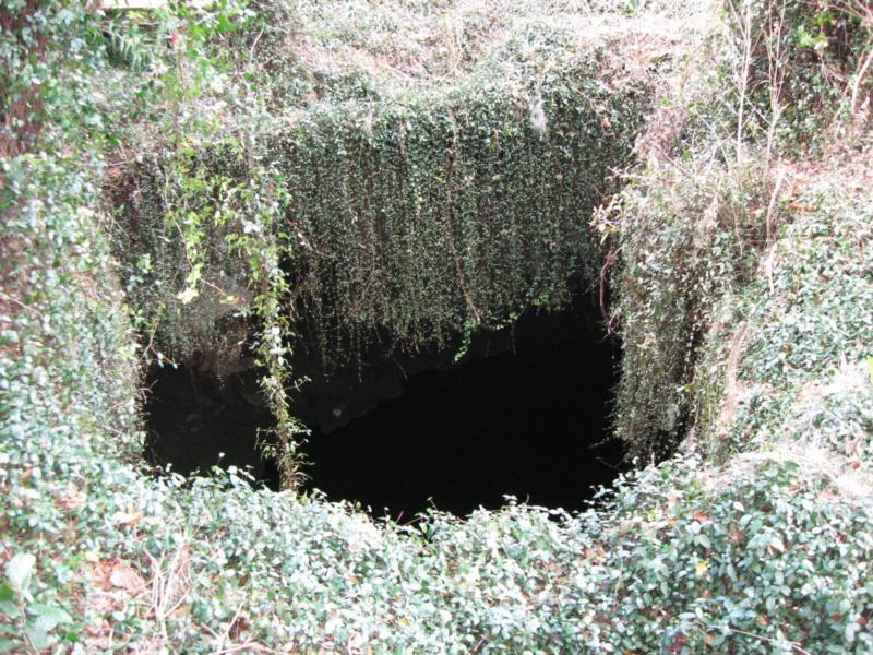 Devil’s Den Springs (Devils Den) - top side looking down into the den