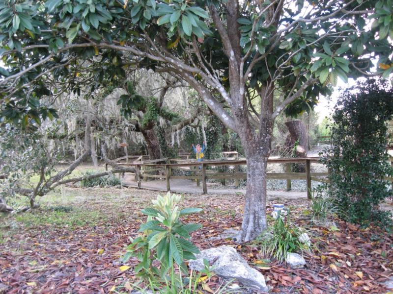 Devil’s Den Springs (Devils Den) - walk way surrounding opening