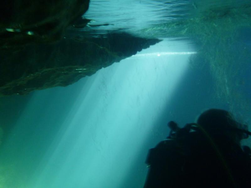 Devil’s Den Springs (Devils Den) - Morning Dive at Devil’s Den