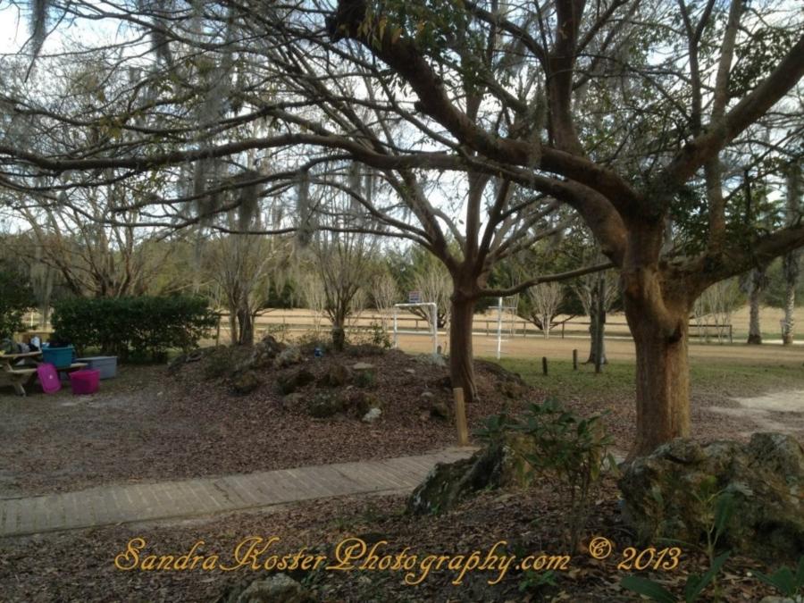 Devil’s Den Springs (Devils Den) - Photo uploaded by  (image.jpg)