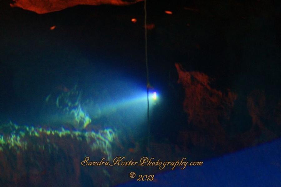 Devil’s Den Springs (Devils Den) - Photo uploaded by  (image.jpg)