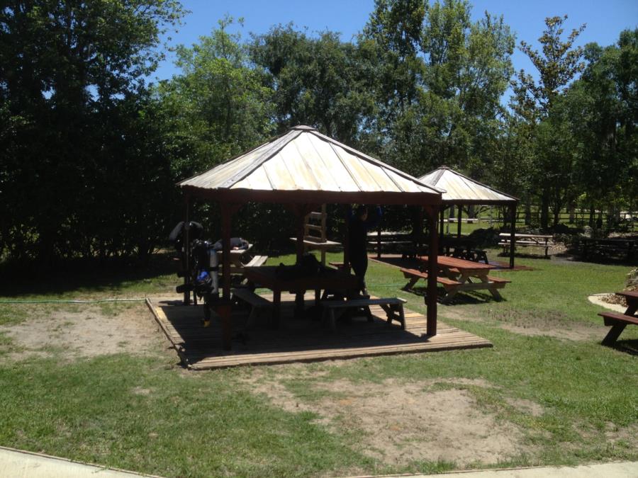 Devil’s Den Springs (Devils Den) - Looking at the diver’s picnic area