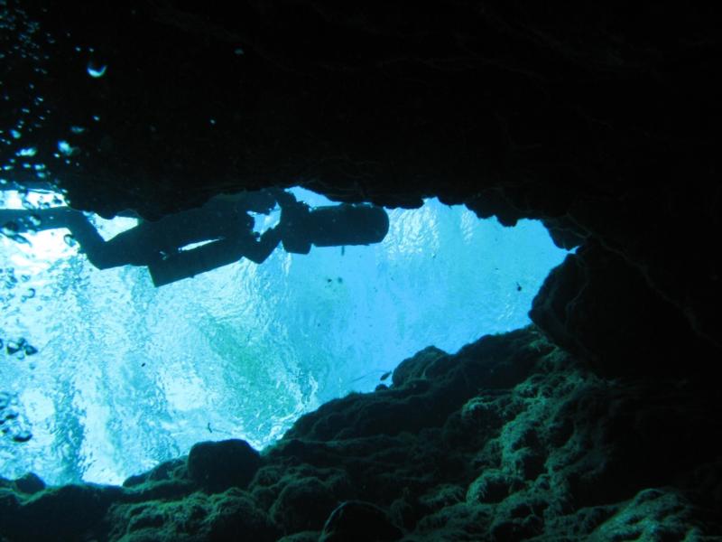 Ginnie Springs - looking up from the "eye"