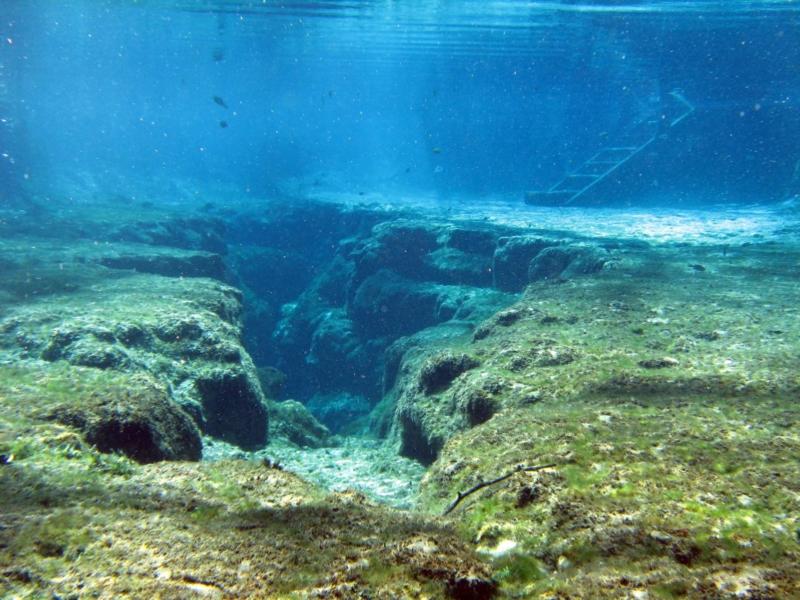 Ginnie Springs - coming up to the eye