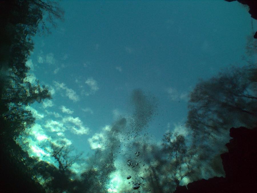 Troy Spring aka Troy Springs State Park - looking up