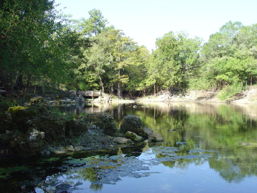 Troy Spring aka Troy Springs State Park - View from the river looking back at the spring.