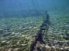 Troy Spring aka Troy Springs State Park - Remains of ship wreck in Troy Springs