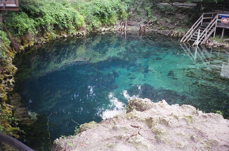 Madison Blue Spring - Entrance area