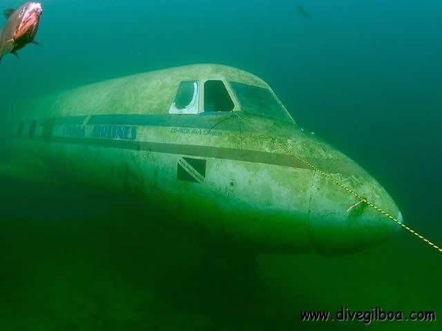 Gilboa Quarry - View of front of plane