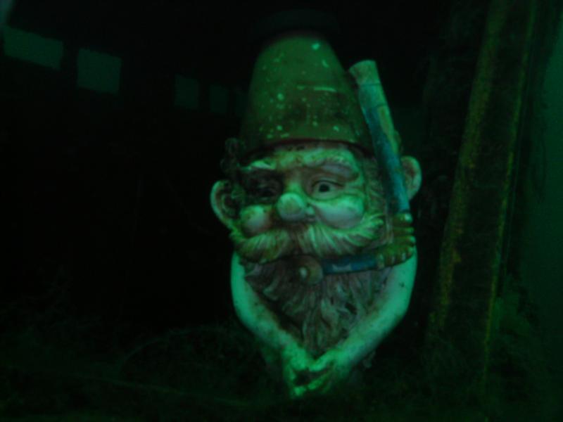 Gilboa Quarry - The Gilboa Gnome