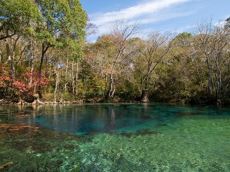 Cypress Spring - Above water view of spring