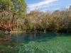 Above water view of spring