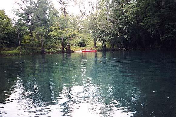 Becton Spring - Above water view of spring