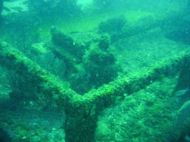 Miss Louise Wreck Florida Panhandle Waterproof Dive Card: Reef