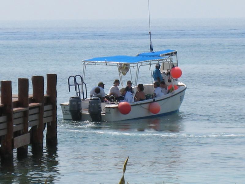 Cozumel - Cozumel 2007