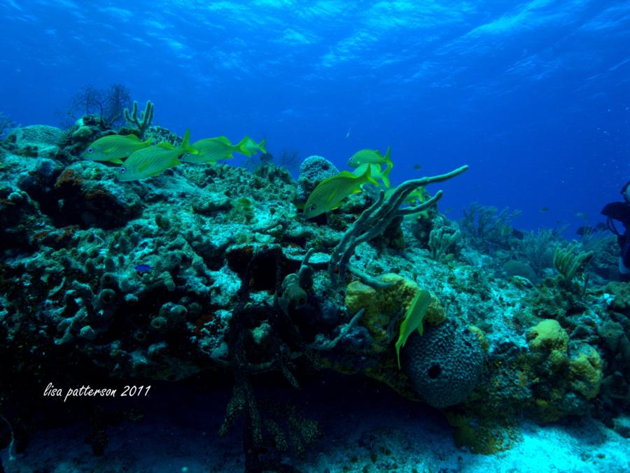 Cozumel - Cozumel