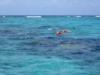 Shark Ray Alley - Belize