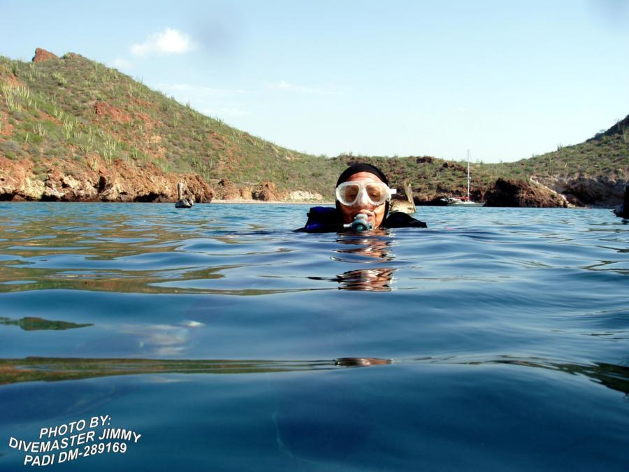 Martini Cove - Diver Annetta Martini Cove looking north