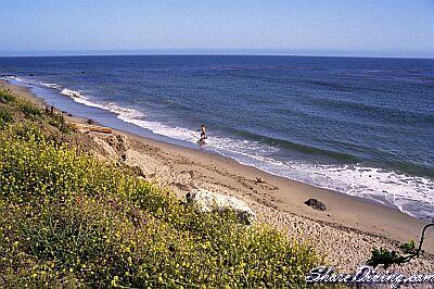 Deer Creek Road - Life’s a Beach