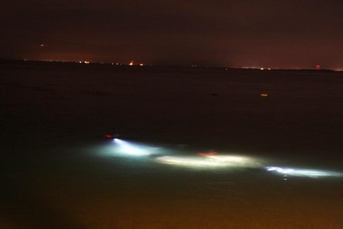 Breakwater Cove - night dive at breakwater