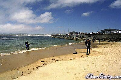 Breakwater Cove - Life’s a Beach