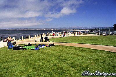 Cannery Park - Life’s a Beach