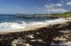 Monastery Beach North - Carmel CA