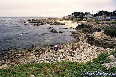 Coral Street Beach - Life’s a Beach