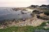 Coral Street Beach - Monterey CA