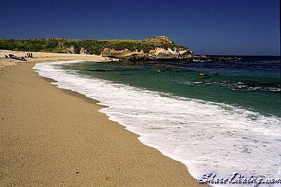 Monastery Beach South - Life’s a Beach