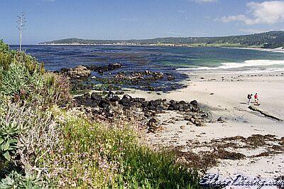 Carmel Point - Life’s a Beach