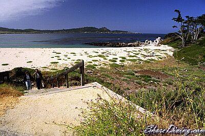 Carmel River North - Life’s a Beach