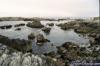 Sewer Plant Beach - Monterey CA