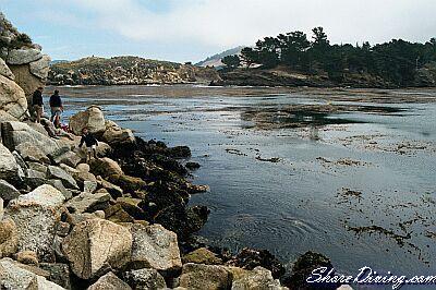 Whalers Cove (Point Lobos) - Life’s a Beach