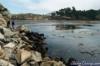 Whalers Cove (Point Lobos) - Carmel - Monterey CA