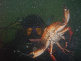Kayak Point County Park - Crab A & Crab B